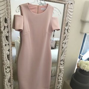 NWT - Beautiful blush colored CK dress
